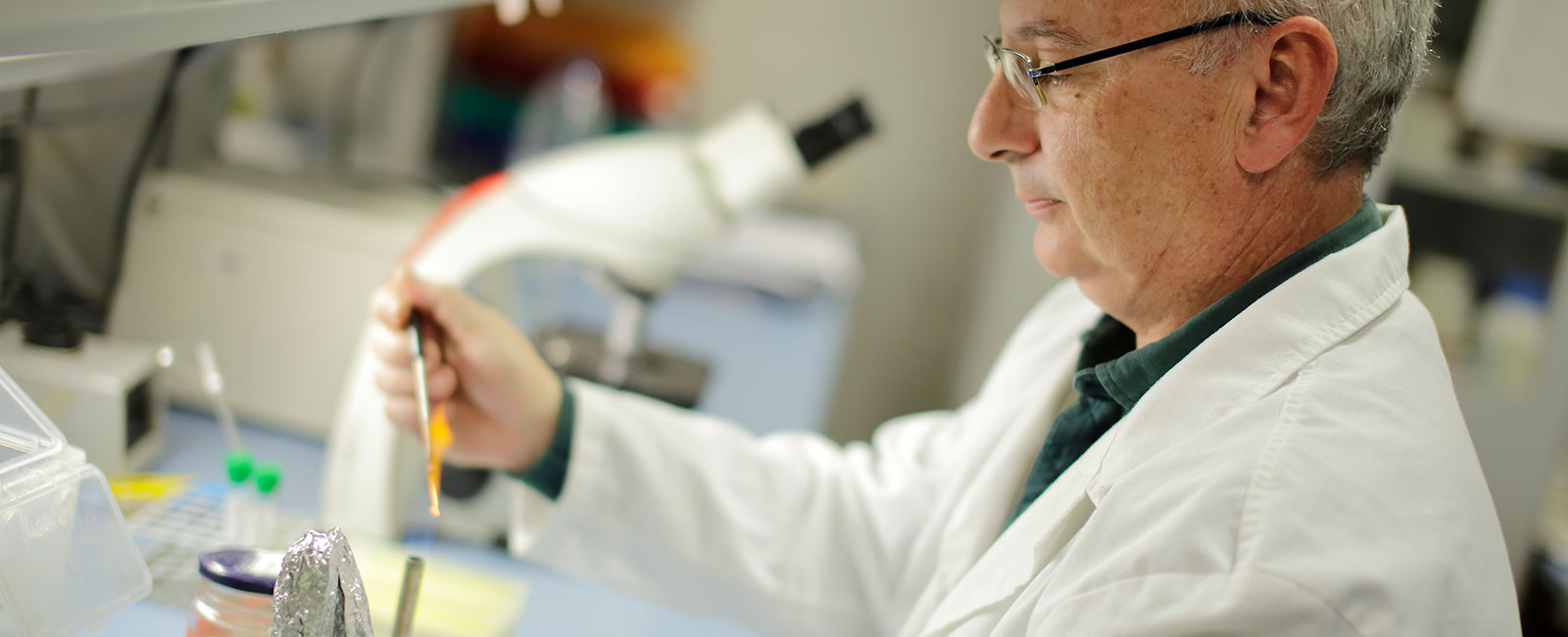 FBBVA-Fronteras-16-biomedicina-Mogica