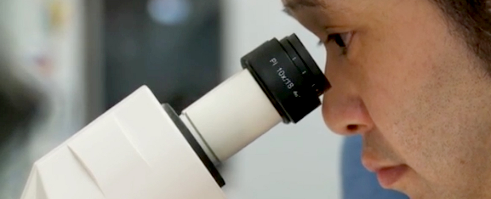 FBBVA-noticias-optogenetica