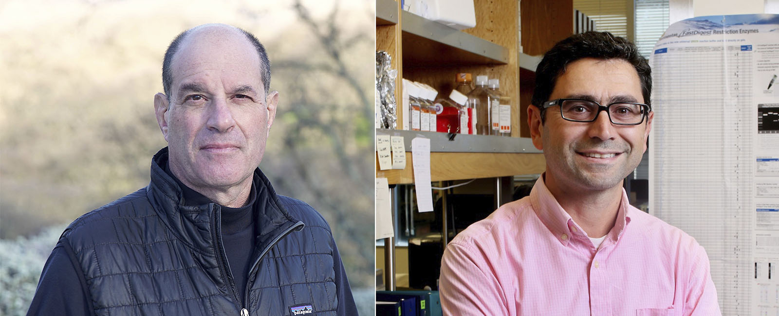 Frontiers of Knowledge Award in Biology and Biomedicine
