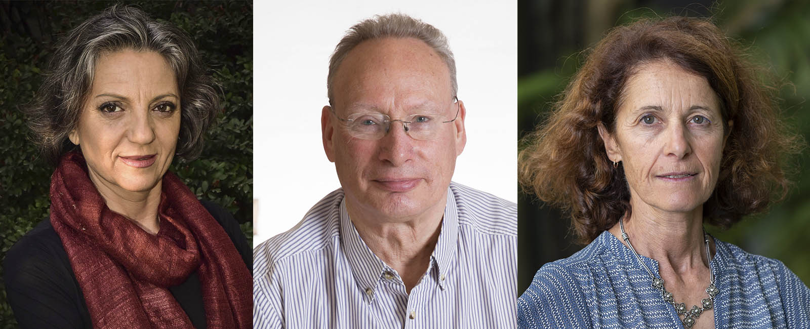 Premio Fronteras del Conocimiento a Sandra Díaz, Sandra Lavorel y Mark Westoby por catalogar los rasgos de las plantas y sus funciones en los ecosistemas de todo el planeta