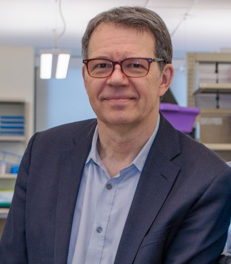 Michel Sadelain XVIII FOK Biomedicina Perfil web Michel Sadelain_XVIII Premio Fronteras del Conocimiento en Biomedicina